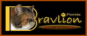 Bravlion Exotics